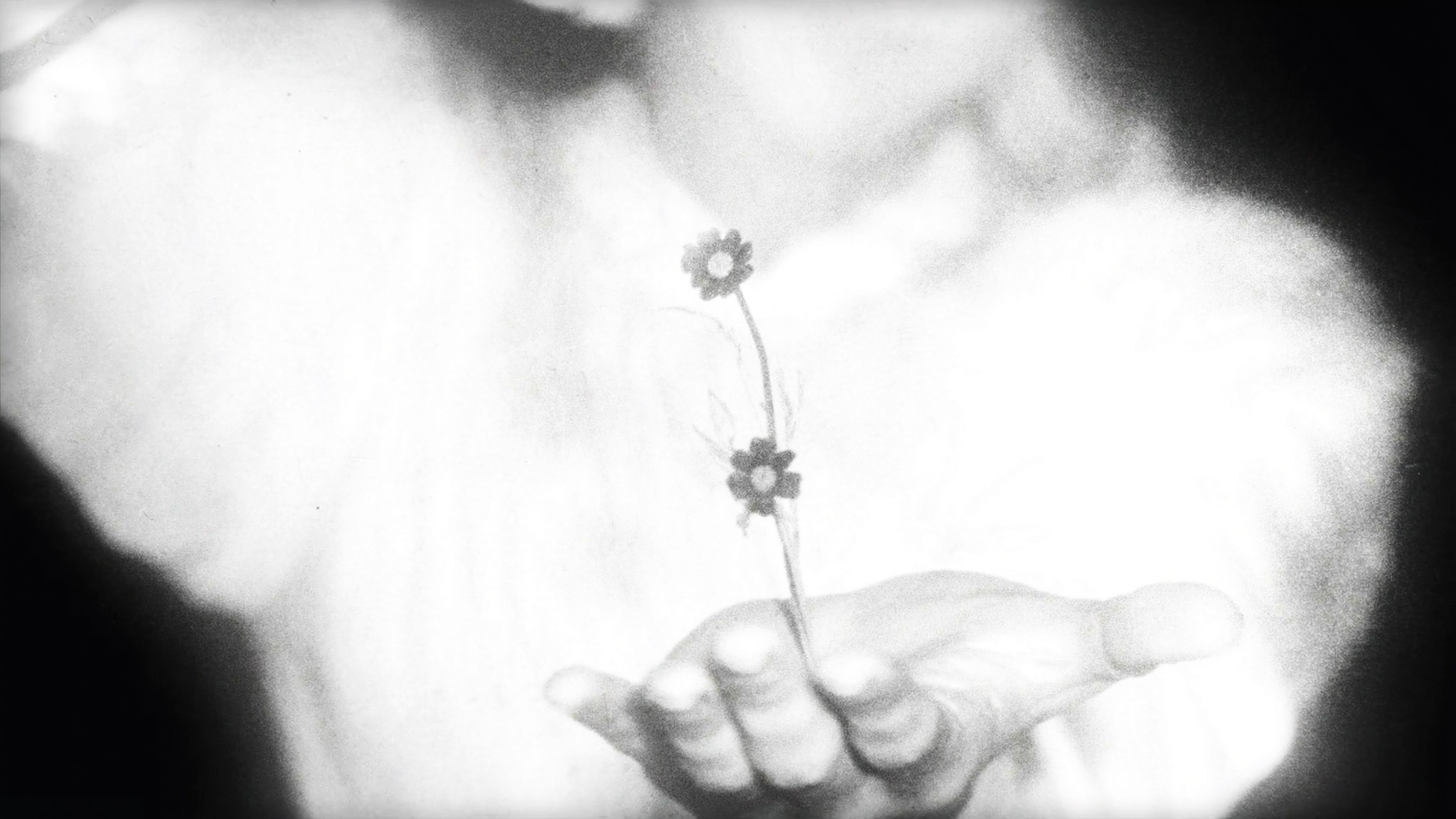 Una mano abierta sostiene dos flores pequeñas, foto en blanco y negro muy sobreexpuesta